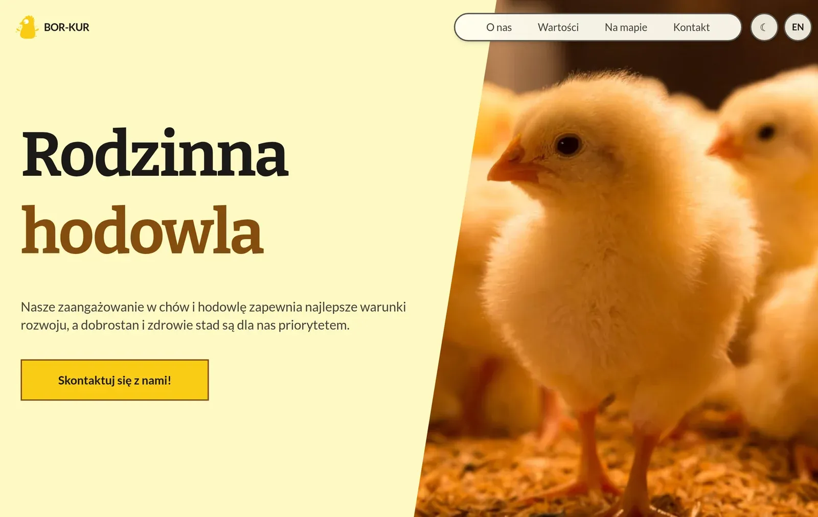 The BOR-KUR home page in Polish at desktop width: the headline Rodzinna hodowla, a short intro, a contact button and a photo of chicks.