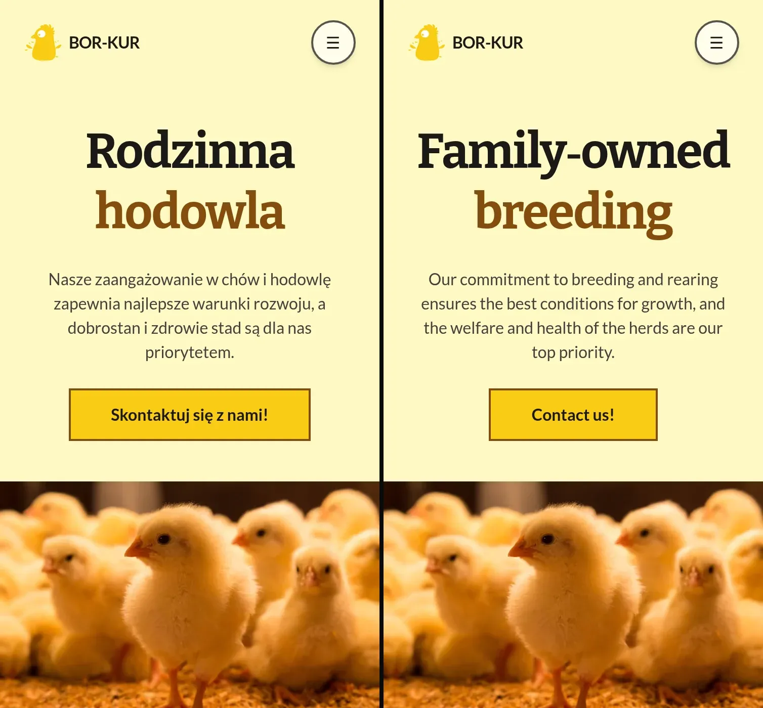 The BOR-KUR home page on a phone, Polish on the left and English on the right. The layout, the button and the photo are the same. Only the copy is different.